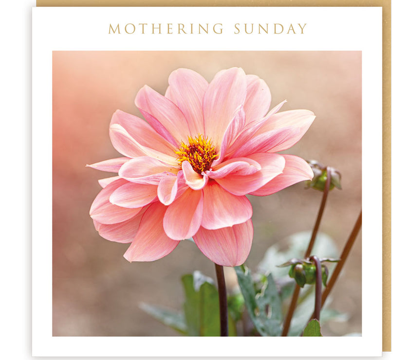 Pink Flower Mothering Sunday Card