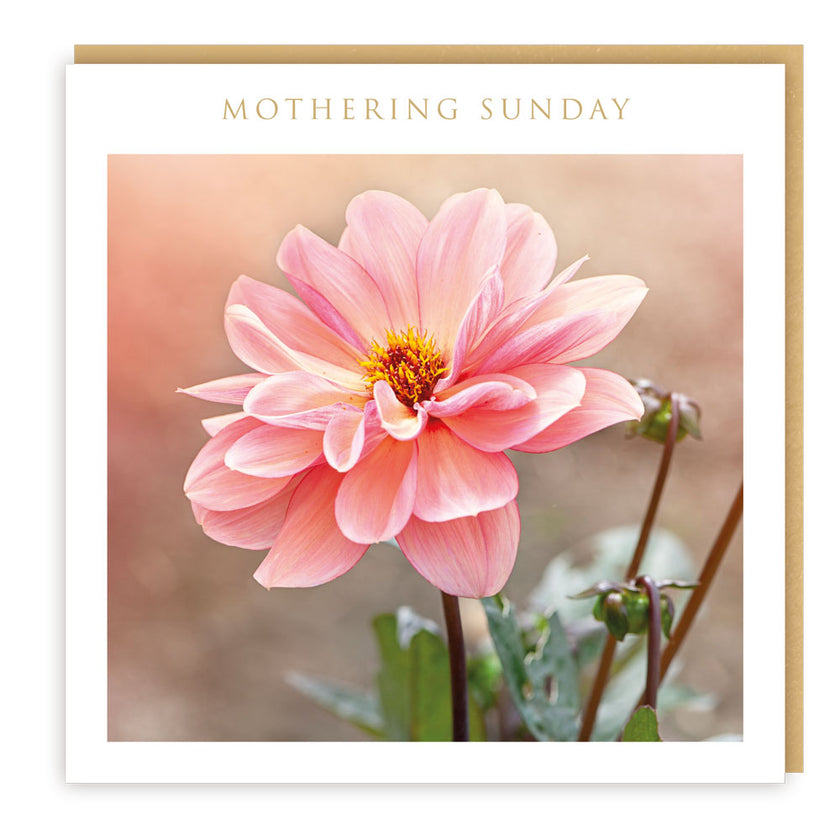 Pink Flower Mothering Sunday Card