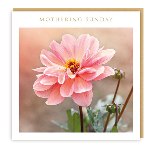Pink Flower Mothering Sunday Card
