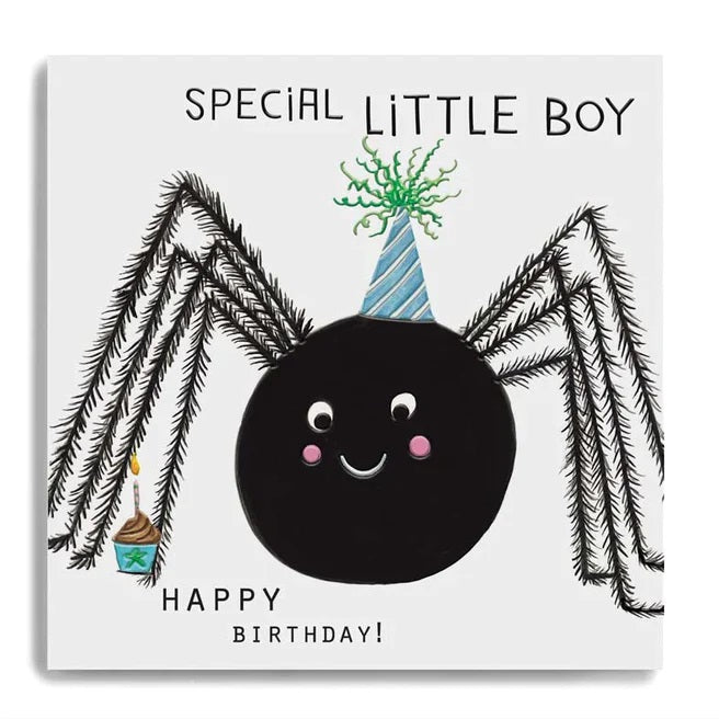 Special Little Boy Spider Birthday Card