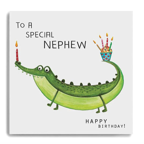 To a Special Nephew Birthday Card