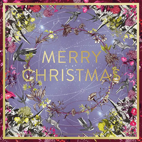 5 Matthew Williamson Merry Christmas Cards - House of Cards