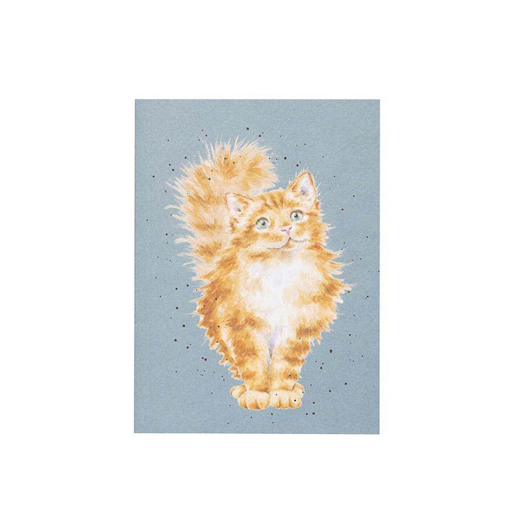 A6 Just Purrr-fect Cat Notebook - House of Cards
