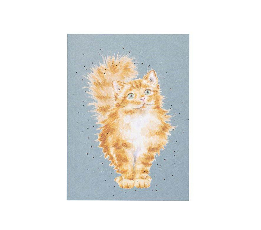 A6 Just Purrr-fect Cat Notebook - House of Cards