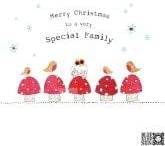 Mushrooms and Robins Special Family Christmas Card - House of Cards