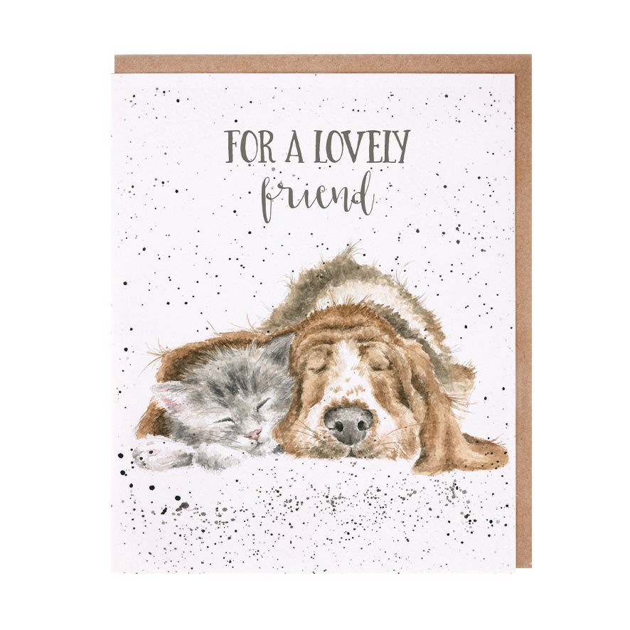 Dog and Catnap