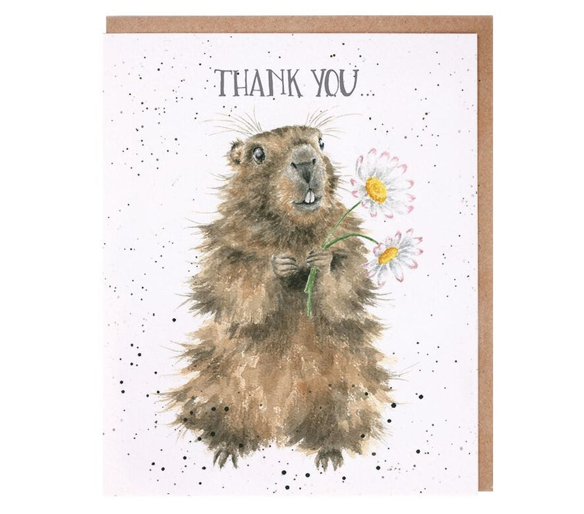 Thank You Beaver