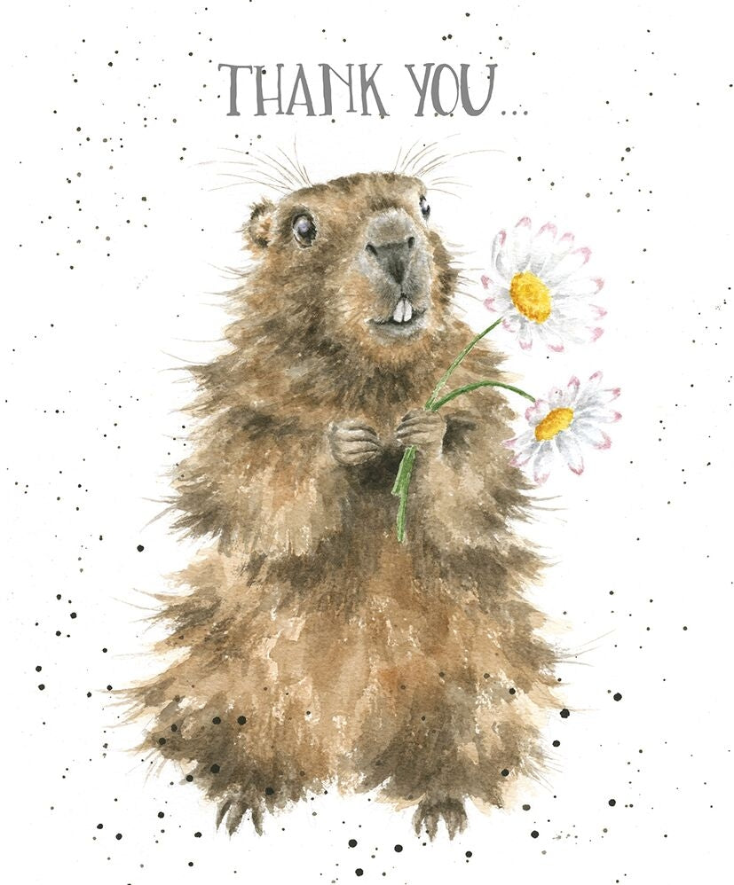 Thank You Beaver