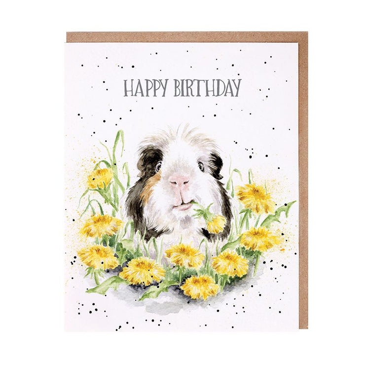 Dandy Day Birthday Card