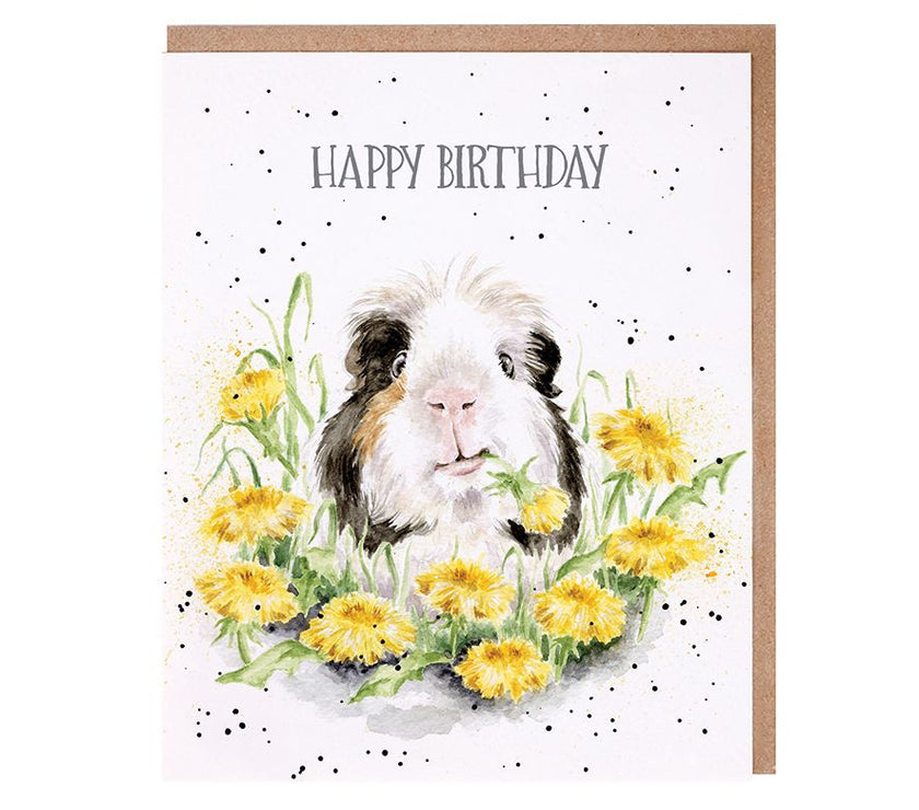 Dandy Day Birthday Card