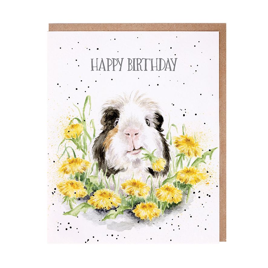 Dandy Day Birthday Card