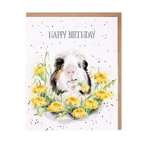 Dandy Day Birthday Card