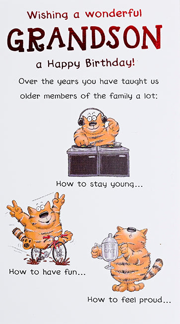 Wonderful Grandson Birthday Card