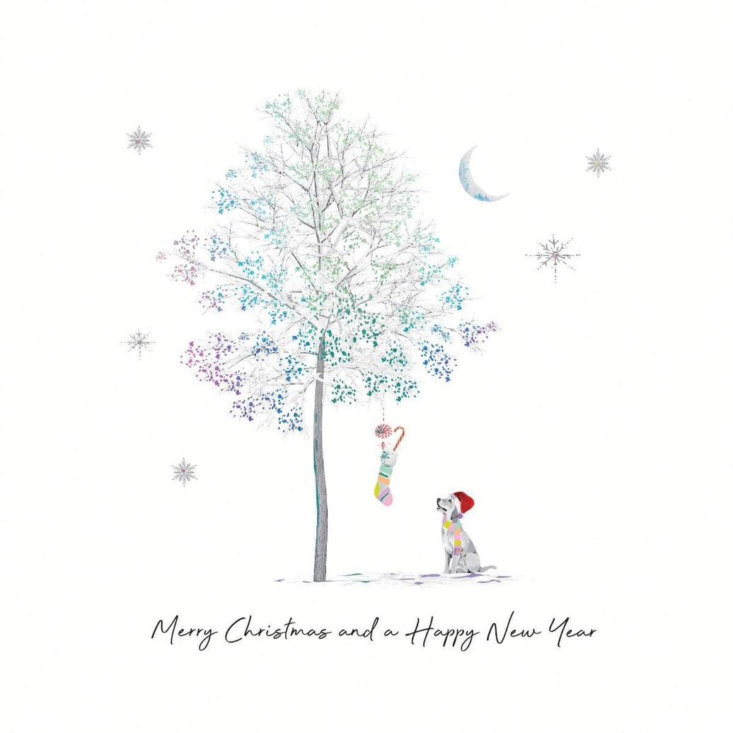 Dog Tree Christmas Boxed Cards - House of Cards