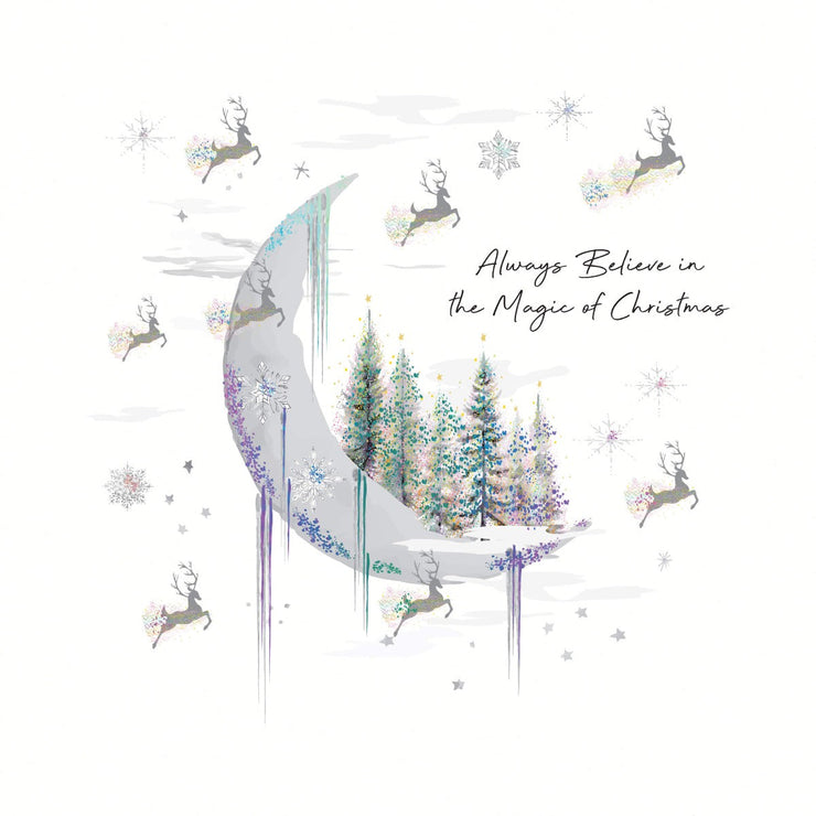 Moon Christmas Boxed Cards