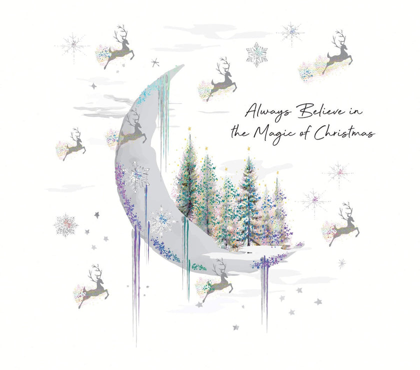 Moon Christmas Boxed Cards