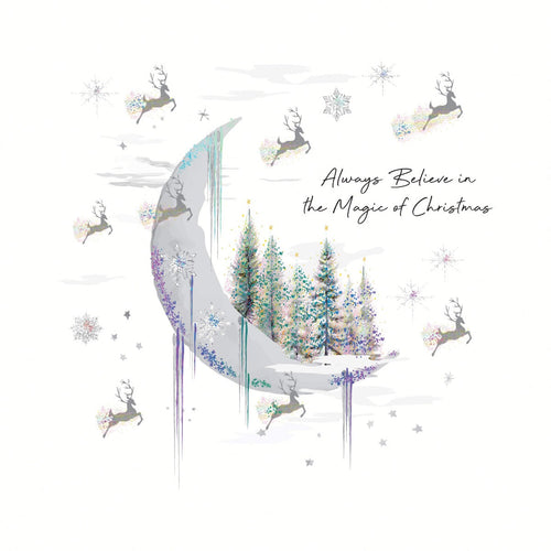 Moon Christmas Boxed Cards