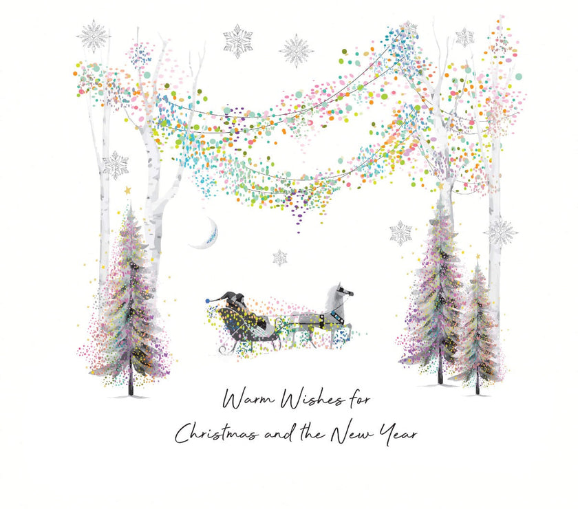Sleigh Christmas Boxed Cards