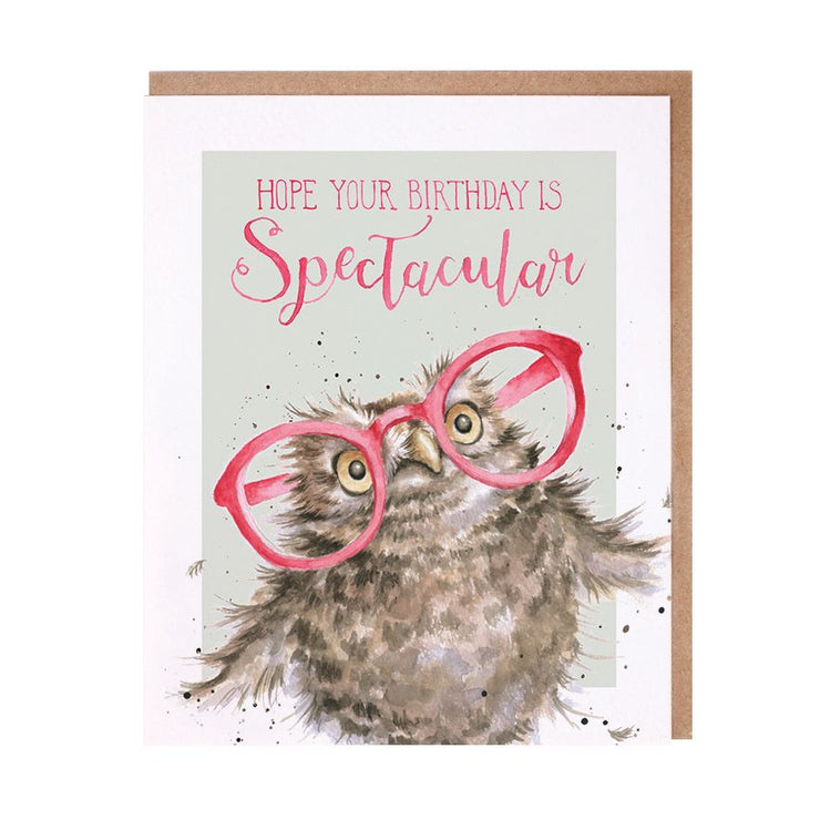 Spectacular Owl Birthday Card