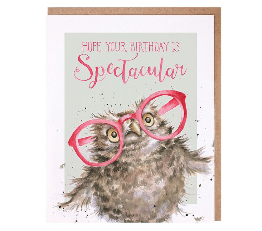 Spectacular Owl Birthday Card