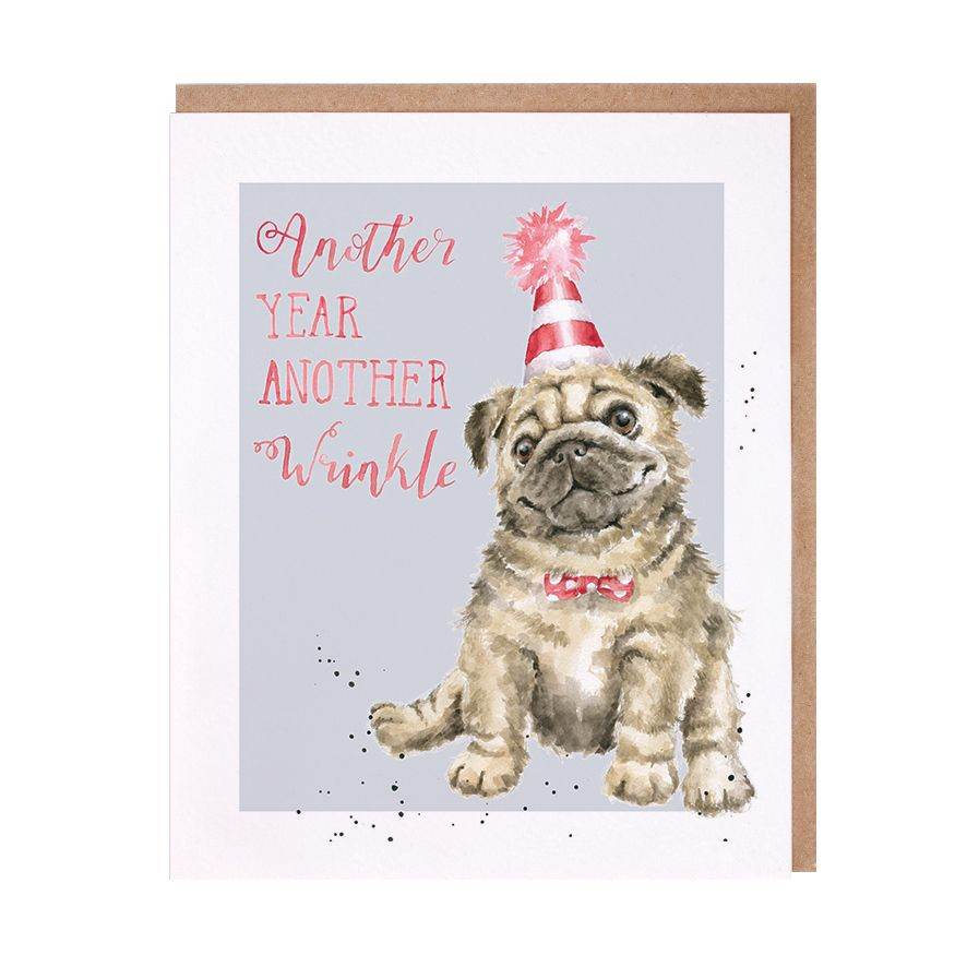 Another Wrinkle Dog Birthday Card - House of Cards