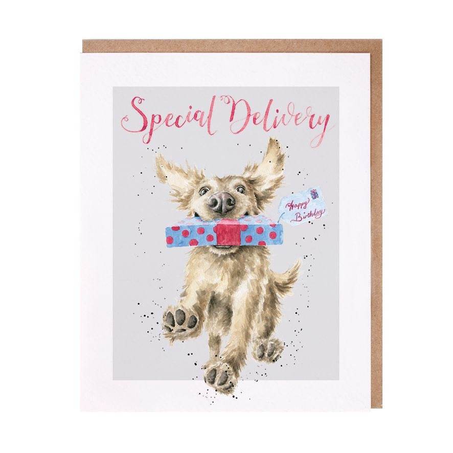 Special Delivery Greeting Card - House of Cards