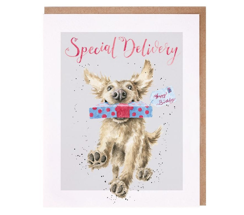 Special Delivery Greeting Card