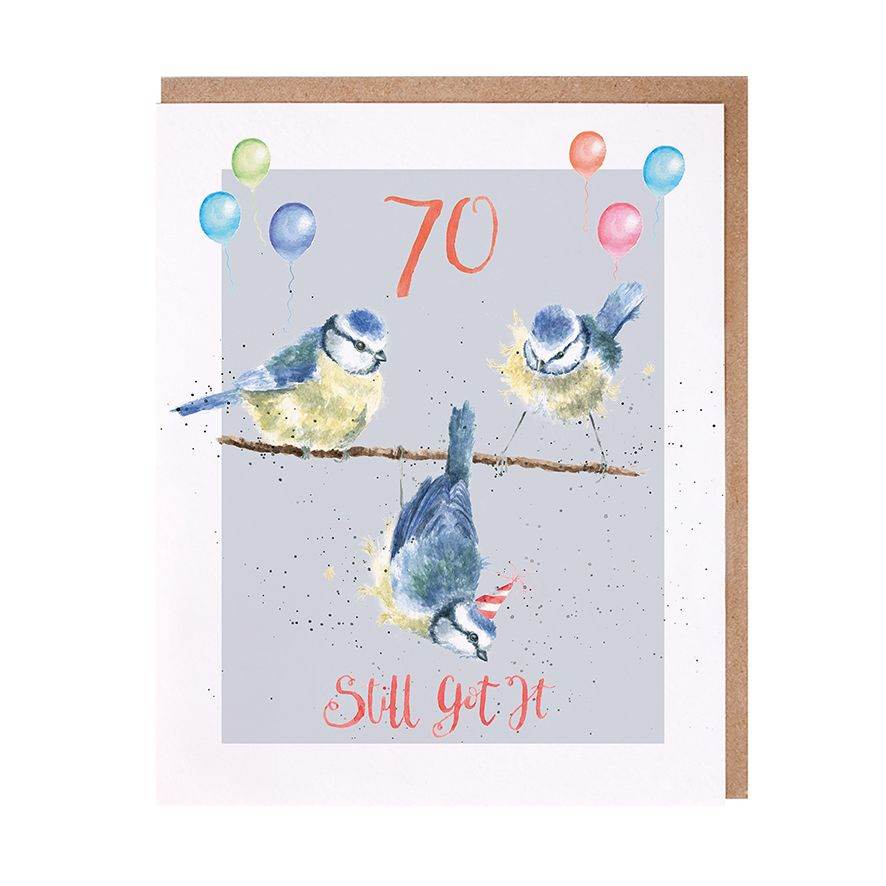 Still Got It Birds 70th Birthday Card - House of Cards