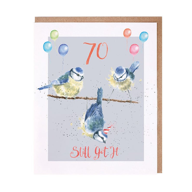 Still Got It Birds 70th Birthday Card
