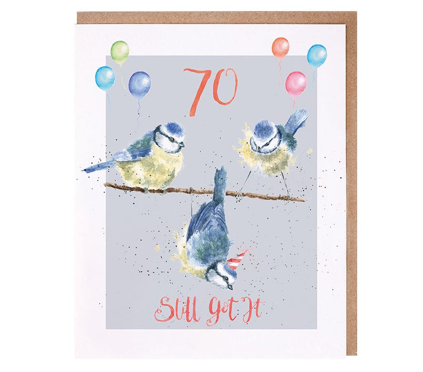 Still Got It Birds 70th Birthday Card