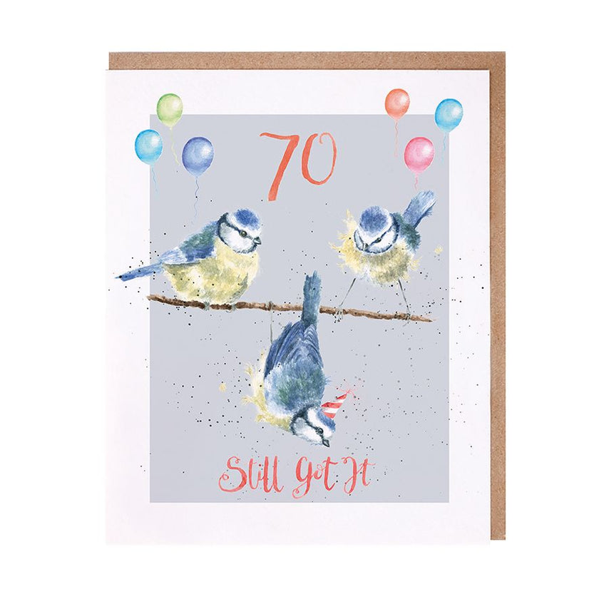 Still Got It Birds 70th Birthday Card