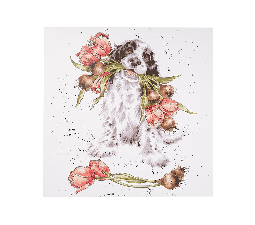 Dog Paint by Numbers