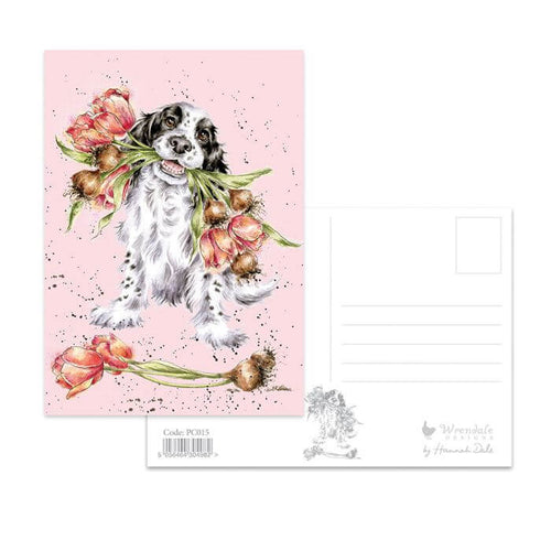 Blooming Spaniel Postcard