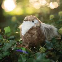 Rosemary Wren Limited Edition Plush Toy