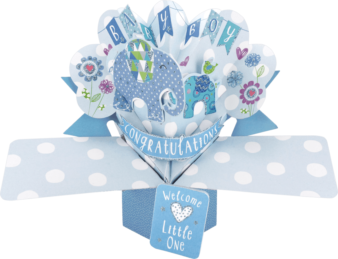 Pop Up New Baby Boy Card - House of Cards