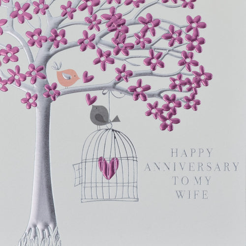 Love Birds wife Anniversary Card