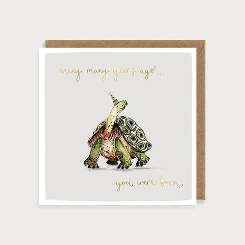 Tortoise Birthday Card