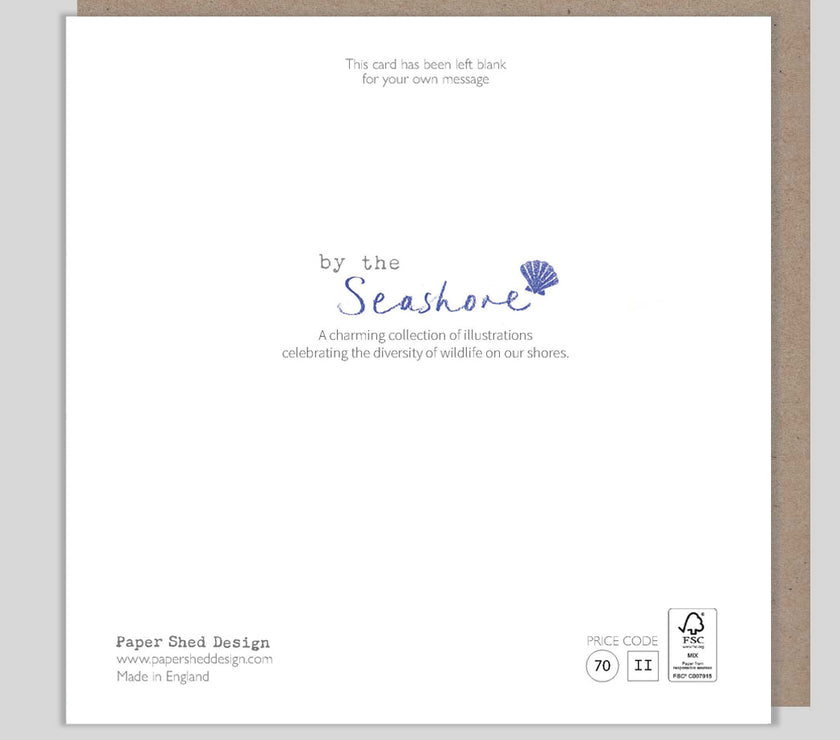 Ice Cream Seagull Birthday Card