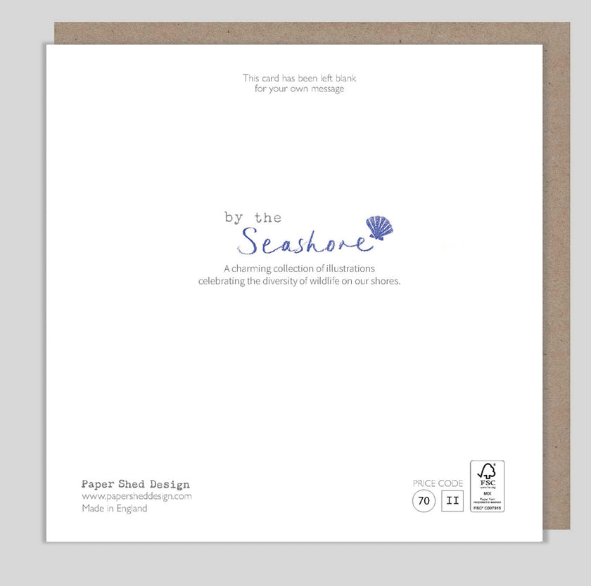 Ice Cream Seagull Birthday Card