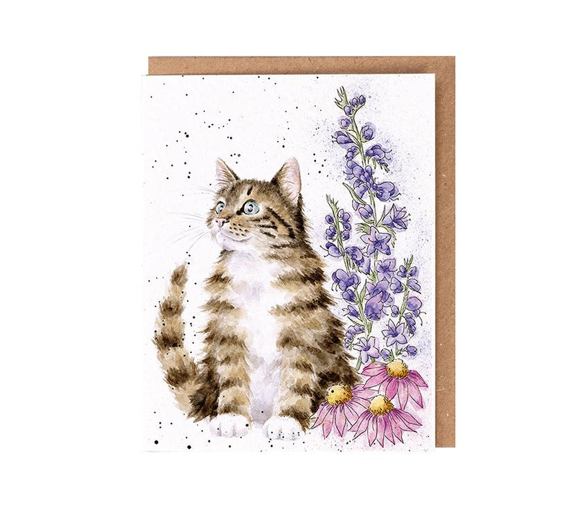 Whiskers Cat Seed Card