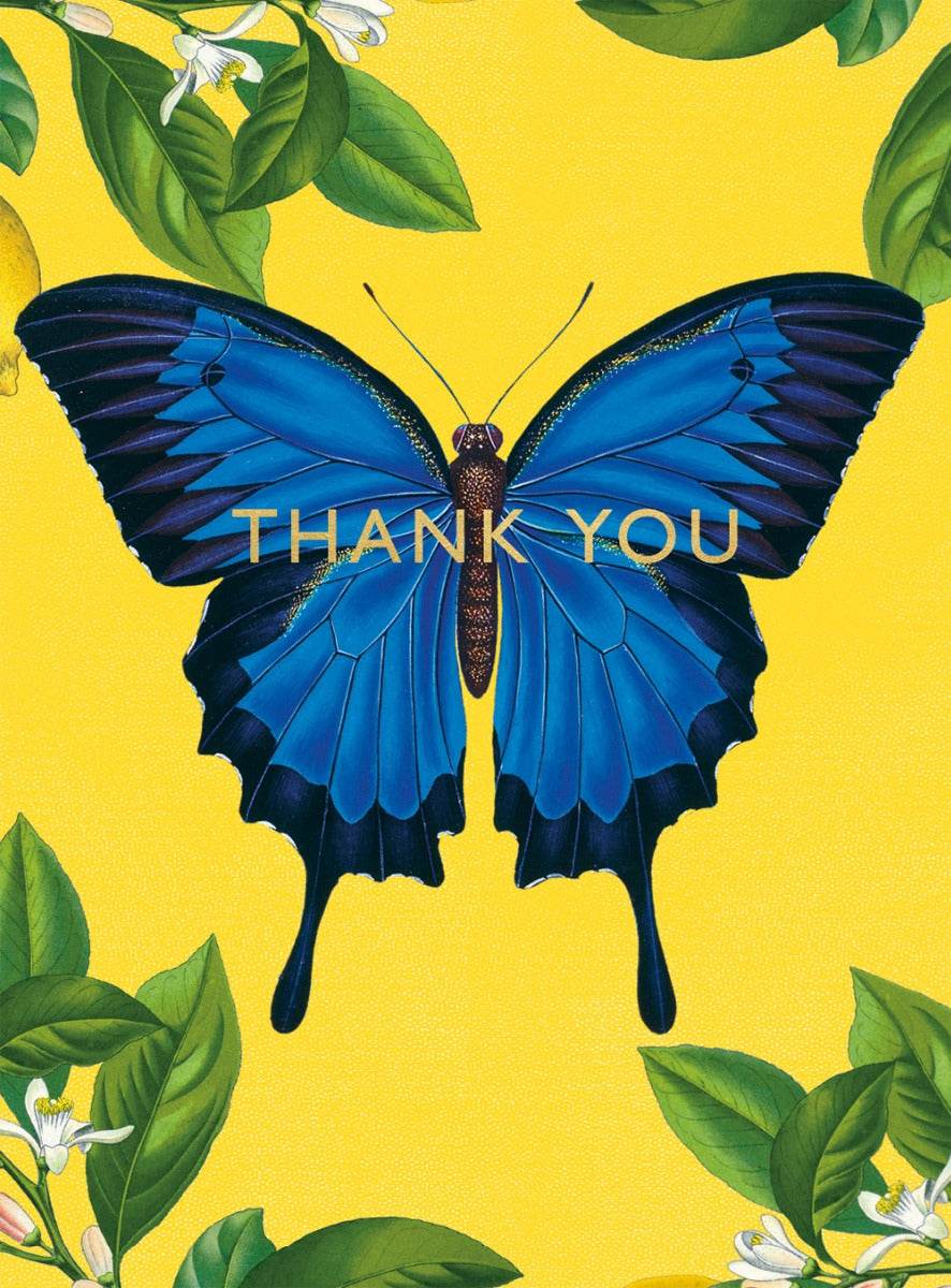 Butterfly Thank You Cards - House of Cards