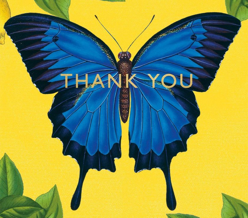 Butterfly Thank You Cards