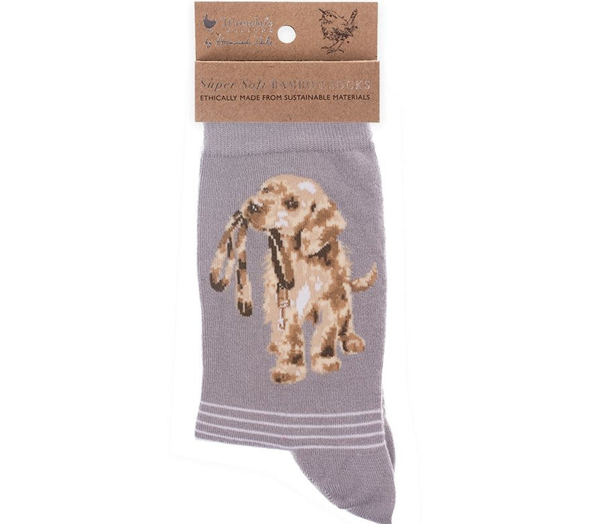 Hopeful Labrador Puppy Bamboo Socks