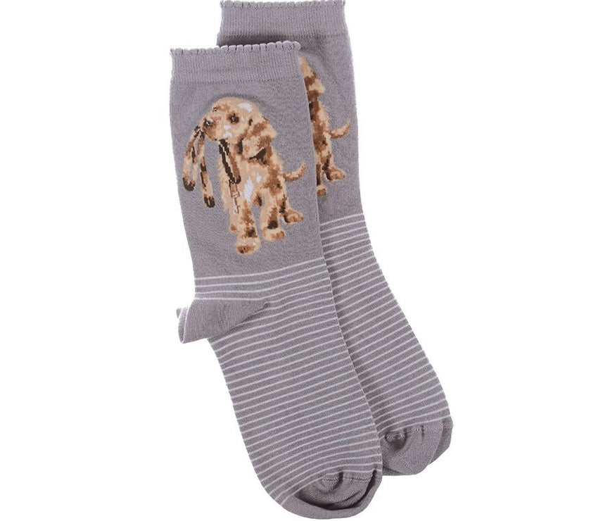 Hopeful Labrador Puppy Bamboo Socks