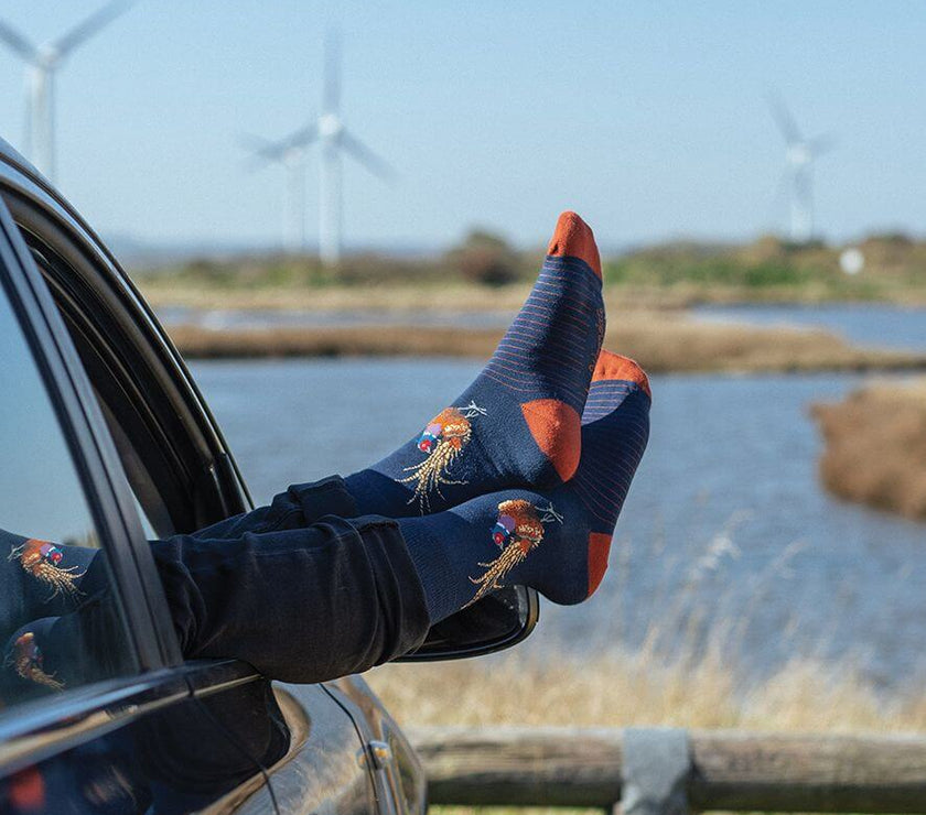 Pheasant Mens Bamboo Socks