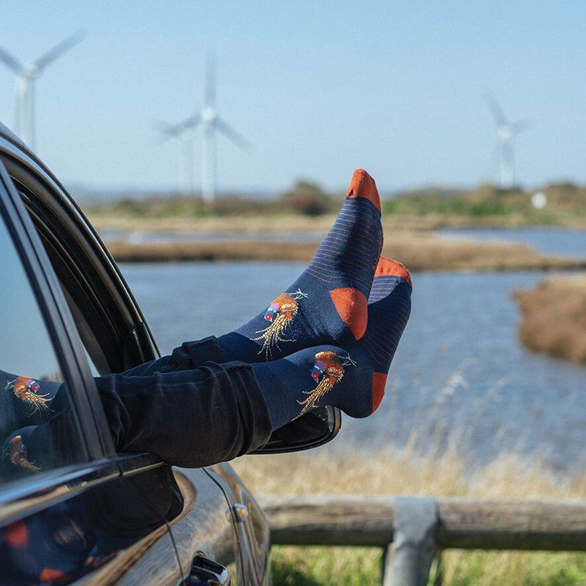 Pheasant Mens Bamboo Socks