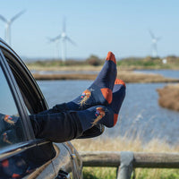 Pheasant Mens Bamboo Socks