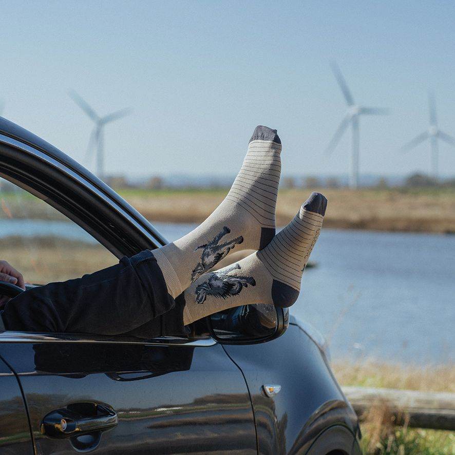 Labrador Men's Bamboo Socks - House of Cards