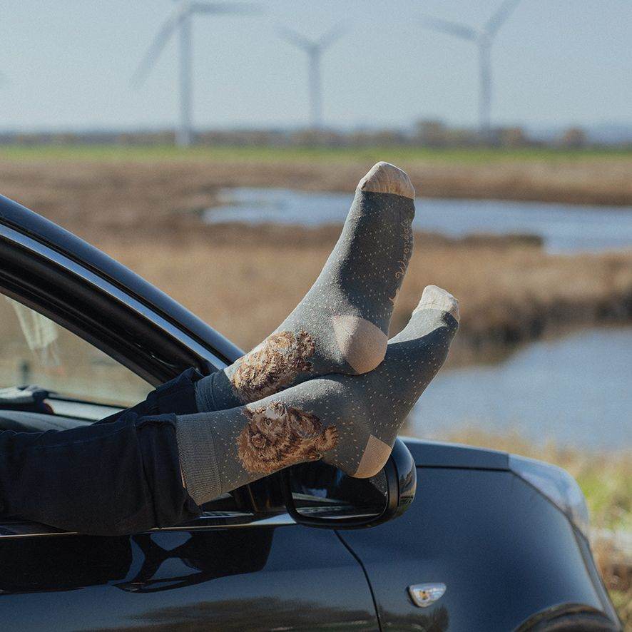 Bear Men's Bamboo Socks - House of Cards