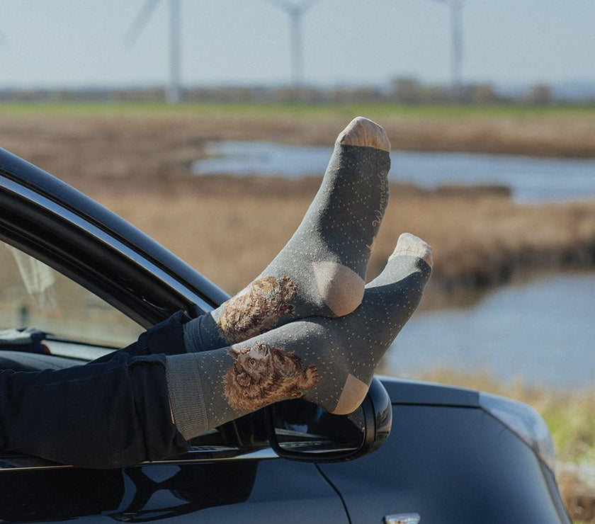 Bear Men's Bamboo Socks
